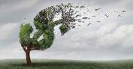The Legal Alternatives of Bankruptcy in the UAE Legislation